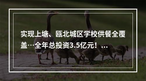 实现上塘、瓯北城区学校供餐全覆盖…全年总投资3.5亿元！永嘉县民生实事项目完成情况