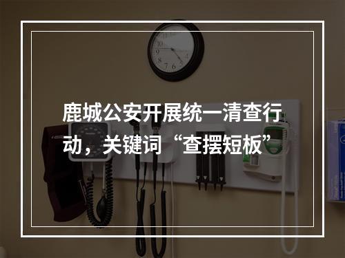 鹿城公安开展统一清查行动，关键词“查摆短板”