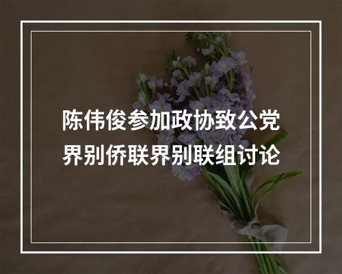 陈伟俊参加政协致公党界别侨联界别联组讨论