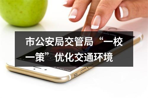 市公安局交管局“一校一策”优化交通环境