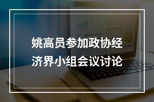 姚高员参加政协经济界小组会议讨论