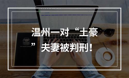 温州一对“土豪”夫妻被判刑！