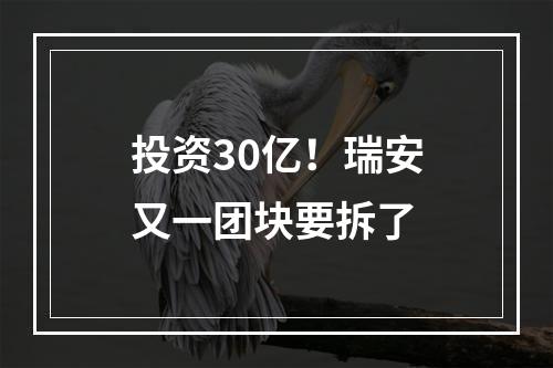 投资30亿！瑞安又一团块要拆了