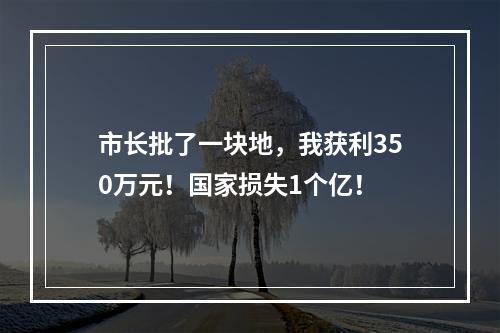市长批了一块地，我获利350万元！国家损失1个亿！