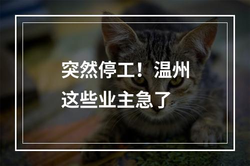 突然停工！温州这些业主急了