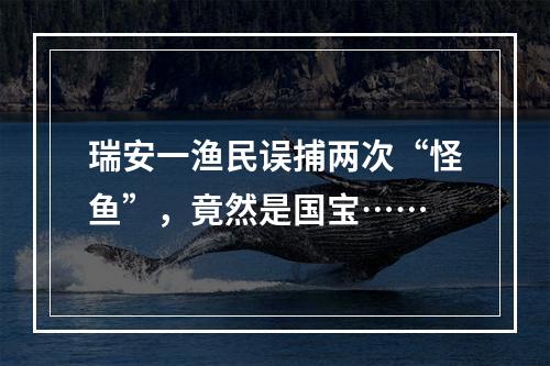瑞安一渔民误捕两次“怪鱼”，竟然是国宝……