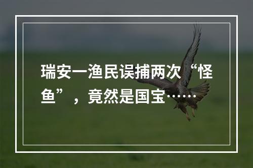 瑞安一渔民误捕两次“怪鱼”，竟然是国宝……