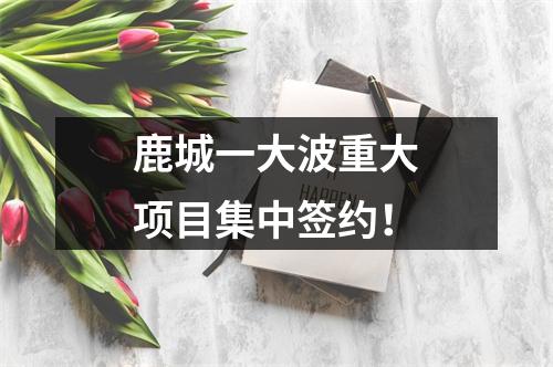 鹿城一大波重大项目集中签约！