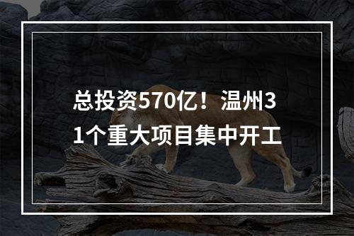 总投资570亿！温州31个重大项目集中开工