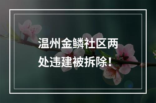 温州金鳞社区两处违建被拆除！