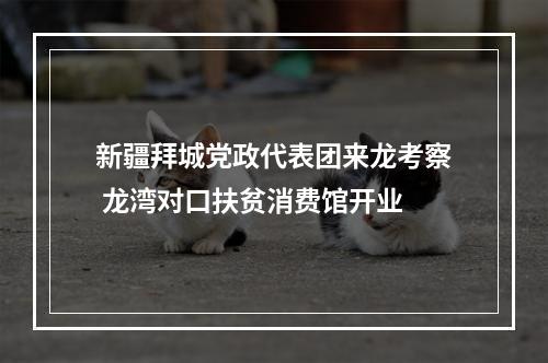 新疆拜城党政代表团来龙考察 龙湾对口扶贫消费馆开业
