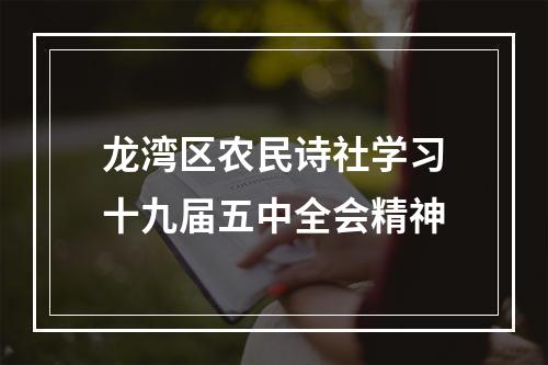 龙湾区农民诗社学习十九届五中全会精神