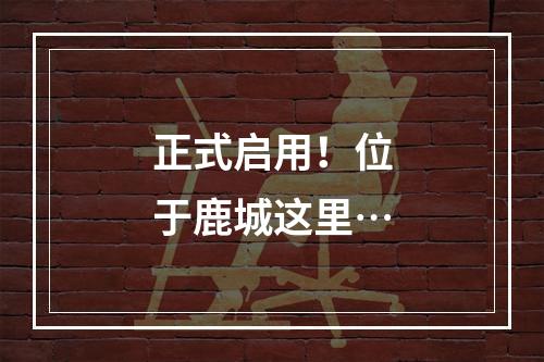 正式启用！位于鹿城这里…