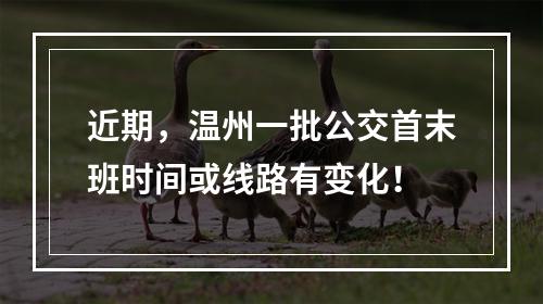近期，温州一批公交首末班时间或线路有变化！