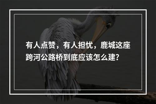 有人点赞，有人担忧，鹿城这座跨河公路桥到底应该怎么建？