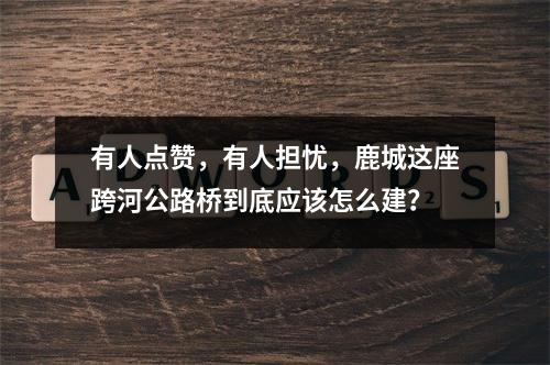 有人点赞，有人担忧，鹿城这座跨河公路桥到底应该怎么建？