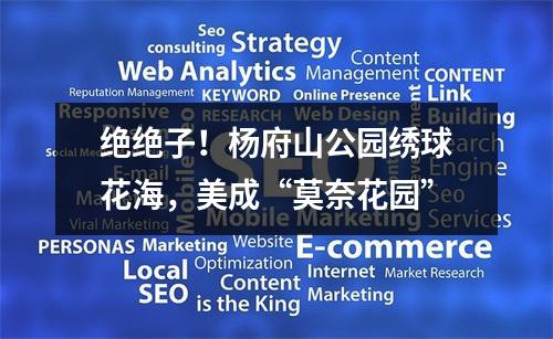 绝绝子！杨府山公园绣球花海，美成“莫奈花园”