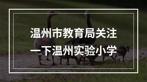 温州市教育局关注一下温州实验小学