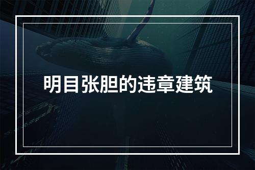 明目张胆的违章建筑