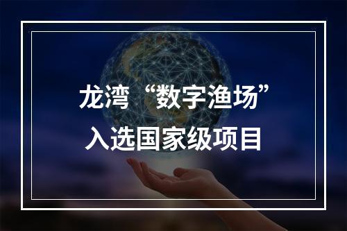龙湾“数字渔场” 入选国家级项目