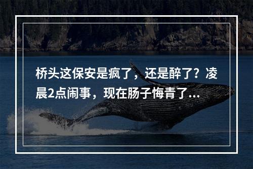 桥头这保安是疯了，还是醉了？凌晨2点闹事，现在肠子悔青了...