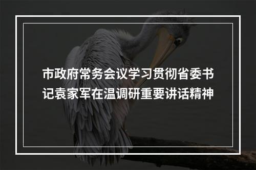 市政府常务会议学习贯彻省委书记袁家军在温调研重要讲话精神