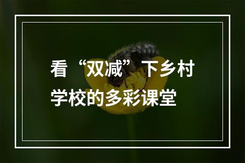 看“双减”下乡村学校的多彩课堂