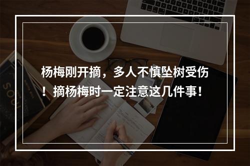 杨梅刚开摘，多人不慎坠树受伤！摘杨梅时一定注意这几件事！