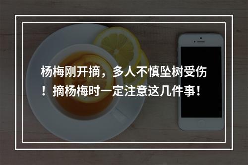 杨梅刚开摘，多人不慎坠树受伤！摘杨梅时一定注意这几件事！