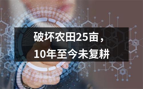 破坏农田25亩，10年至今未复耕