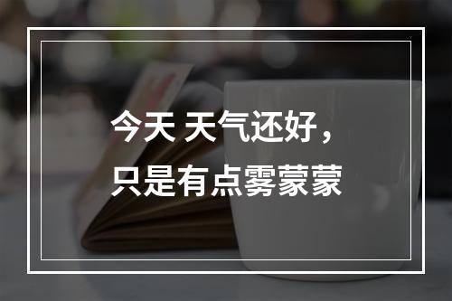 今天 天气还好，只是有点雾蒙蒙
