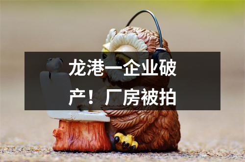 龙港一企业破产！厂房被拍