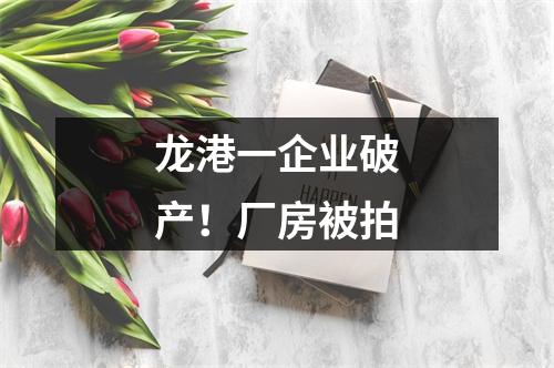 龙港一企业破产！厂房被拍