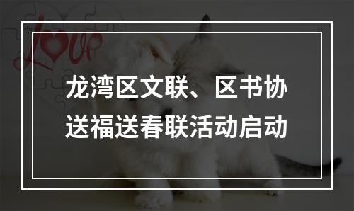 龙湾区文联、区书协送福送春联活动启动