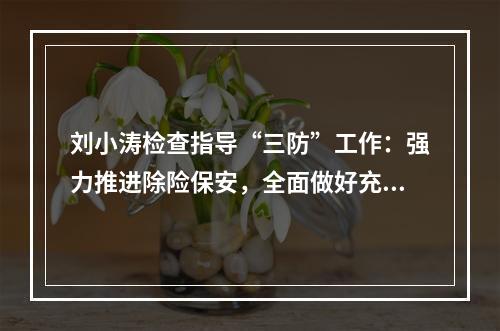 刘小涛检查指导“三防”工作：强力推进除险保安，全面做好充分准备