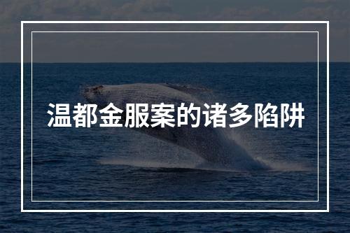 温都金服案的诸多陷阱