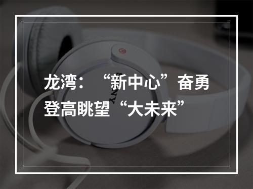 龙湾：“新中心”奋勇登高眺望“大未来”