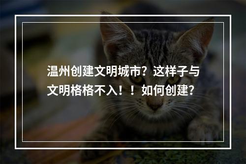 温州创建文明城市？这样子与文明格格不入！！如何创建？
