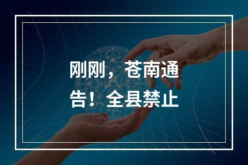 刚刚，苍南通告！全县禁止