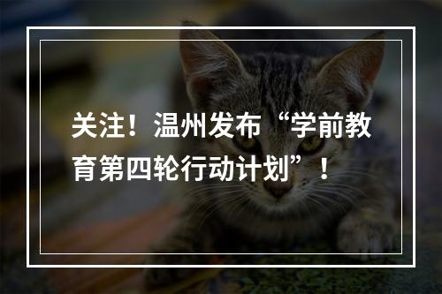 关注！温州发布“学前教育第四轮行动计划”！