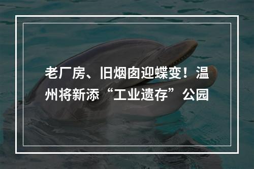 老厂房、旧烟囱迎蝶变！温州将新添“工业遗存”公园