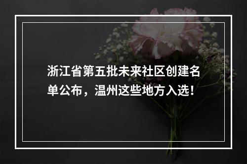 浙江省第五批未来社区创建名单公布，温州这些地方入选！