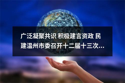 广泛凝聚共识 积极建言资政 民建温州市委召开十二届十三次全会