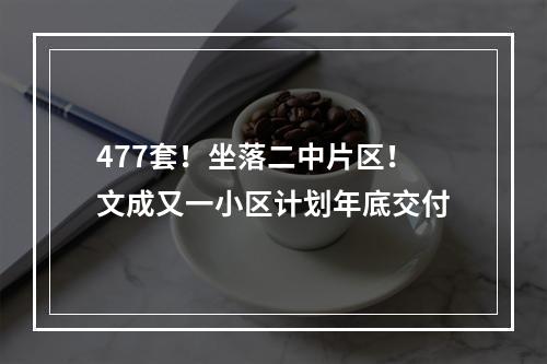 477套！坐落二中片区！文成又一小区计划年底交付