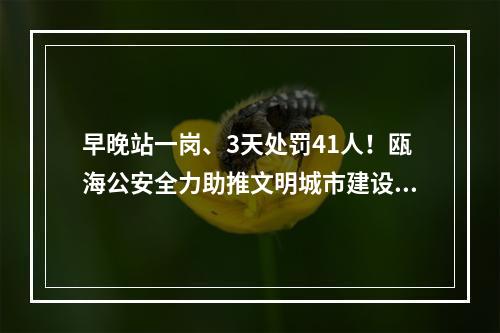 早晚站一岗、3天处罚41人！瓯海公安全力助推文明城市建设工作