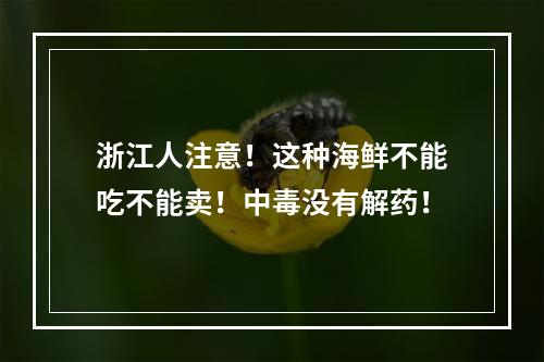 浙江人注意！这种海鲜不能吃不能卖！中毒没有解药！