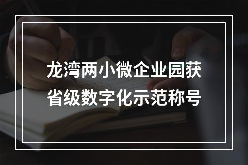 龙湾两小微企业园获省级数字化示范称号