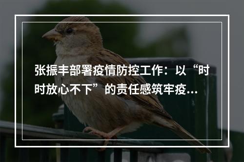 张振丰部署疫情防控工作：以“时时放心不下”的责任感筑牢疫情防线