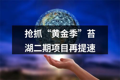 抢抓“黄金季”苔湖二期项目再提速
