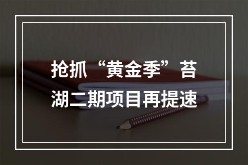 抢抓“黄金季”苔湖二期项目再提速